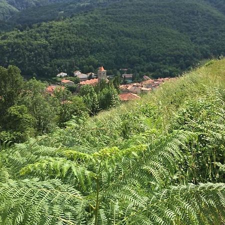 T2 Petite Terrasse Coeur De Ville Prats-de-Mollo-la-Preste Buitenkant foto